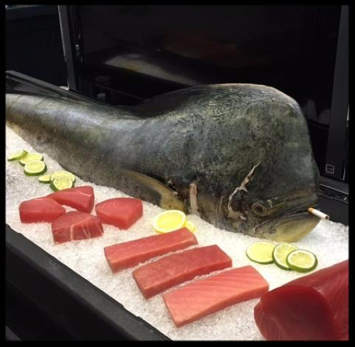 Mahimahi and Tuna Rapid Testing Spoilage Indicators Phase II