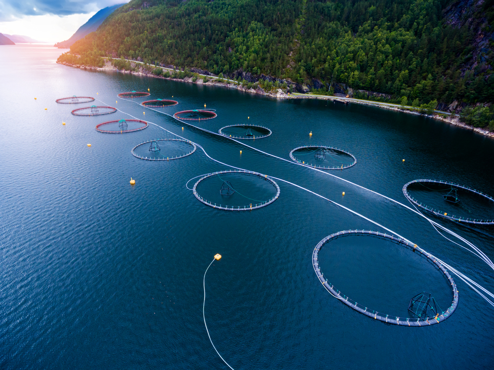 Probiotic Use in Aquaculture